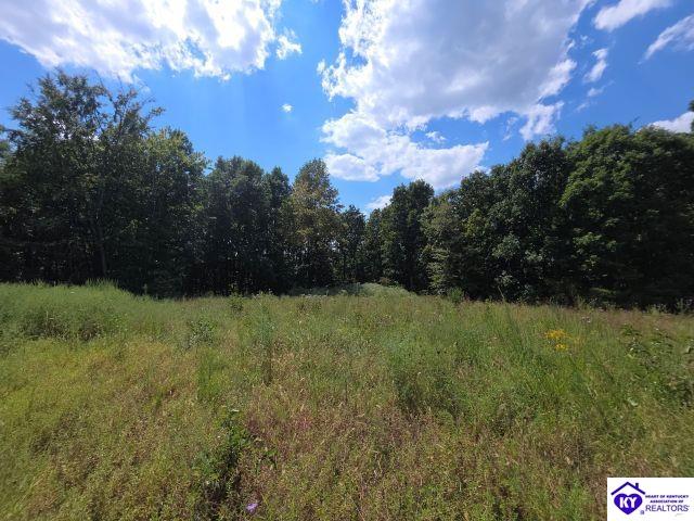 Trace 23 & 24 Wheeler Road Property Photo 22