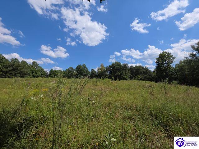 Trace 23 & 24 Wheeler Road Property Photo 23