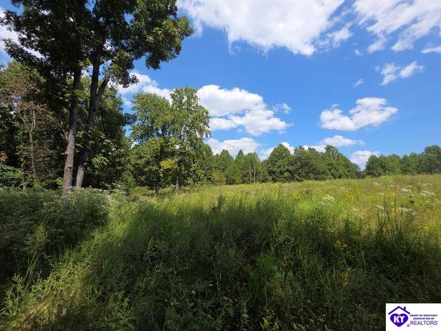 Trace 23 & 24 Wheeler Road Property Photo 24