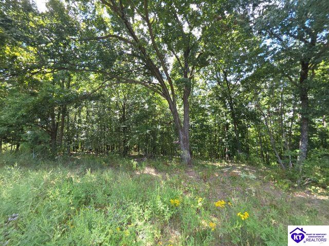 Trace 23 & 24 Wheeler Road Property Photo 25