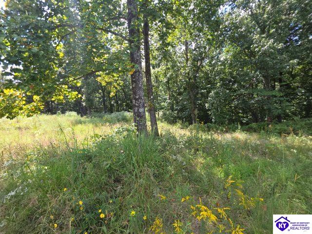 Trace 23 & 24 Wheeler Road Property Photo 26
