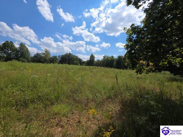 Trace 23 & 24 Wheeler Road Property Photo 27