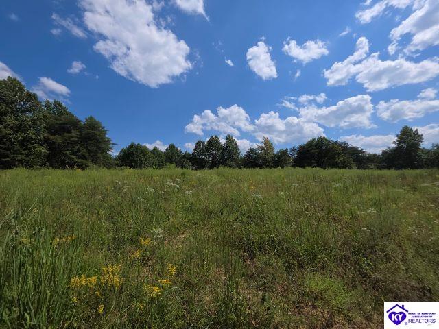 Trace 23 & 24 Wheeler Road Property Photo 28