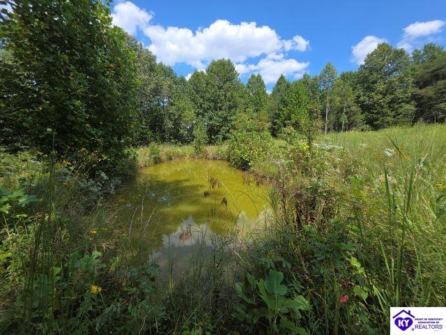 Trace 23 & 24 Wheeler Road Property Photo 30