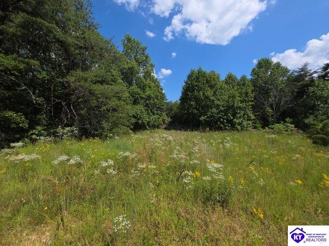 Trace 23 & 24 Wheeler Road Property Photo 31