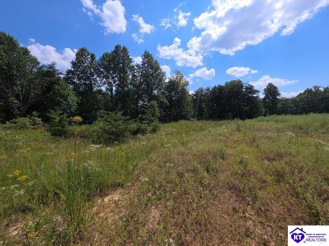 Trace 23 & 24 Wheeler Road Property Photo 32