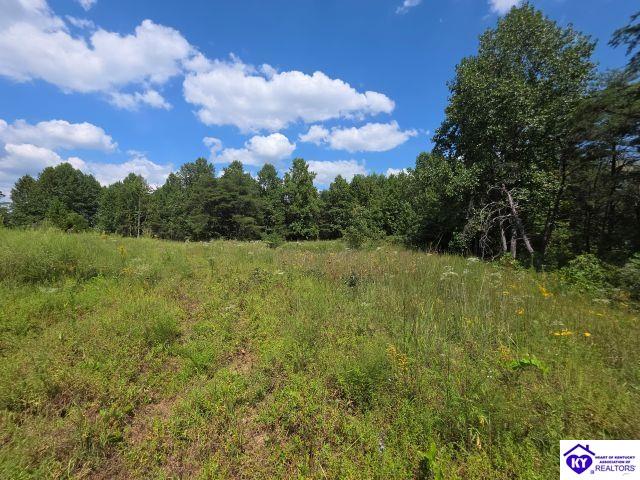 Trace 23 & 24 Wheeler Road Property Photo 34
