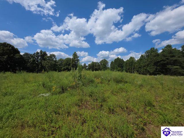 Trace 23 & 24 Wheeler Road Property Photo 35