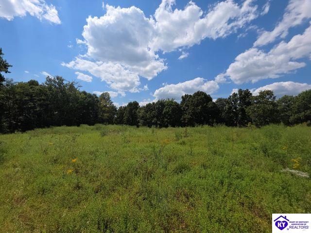 Trace 23 & 24 Wheeler Road Property Photo 36