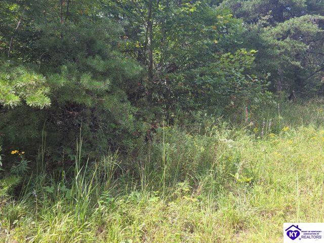 Trace 23 & 24 Wheeler Road Property Photo 37