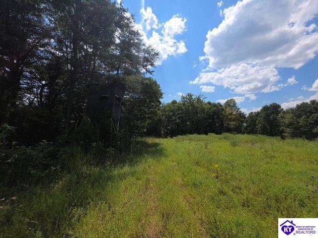 Trace 23 & 24 Wheeler Road Property Photo 38