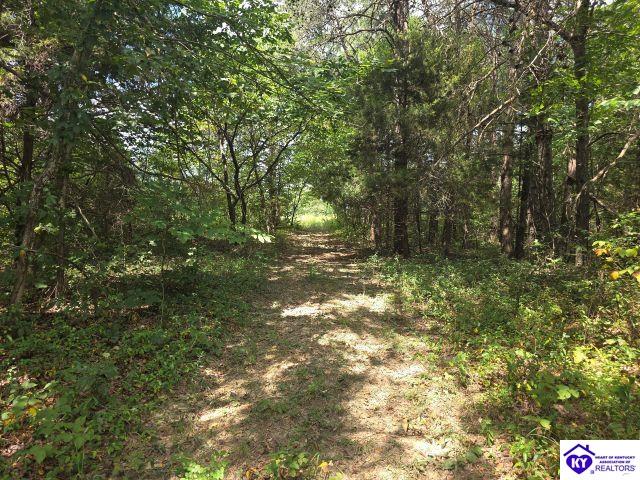 Trace 23 & 24 Wheeler Road Property Photo 39