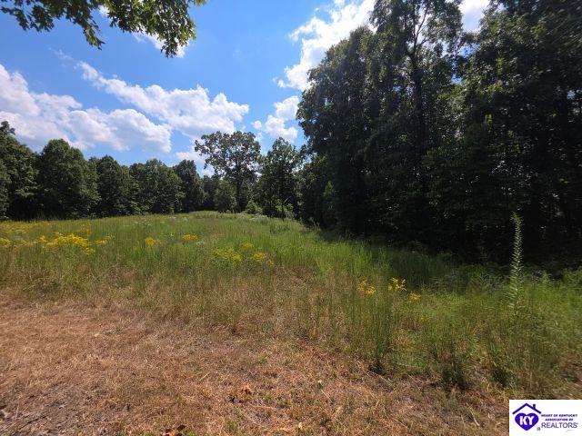 Trace 23 & 24 Wheeler Road Property Photo 40