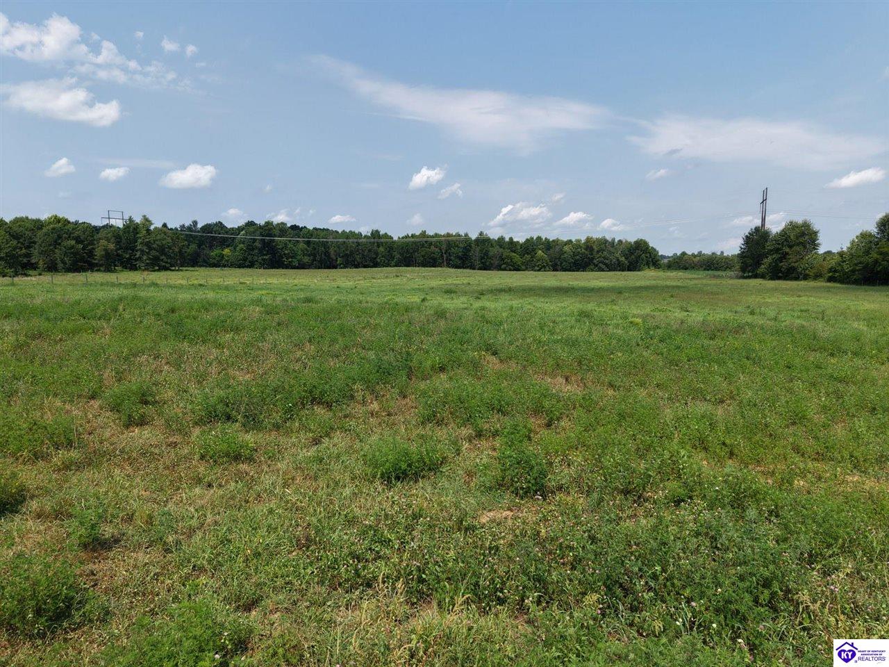 0 Bethlehem Academy Road Property Photo 7