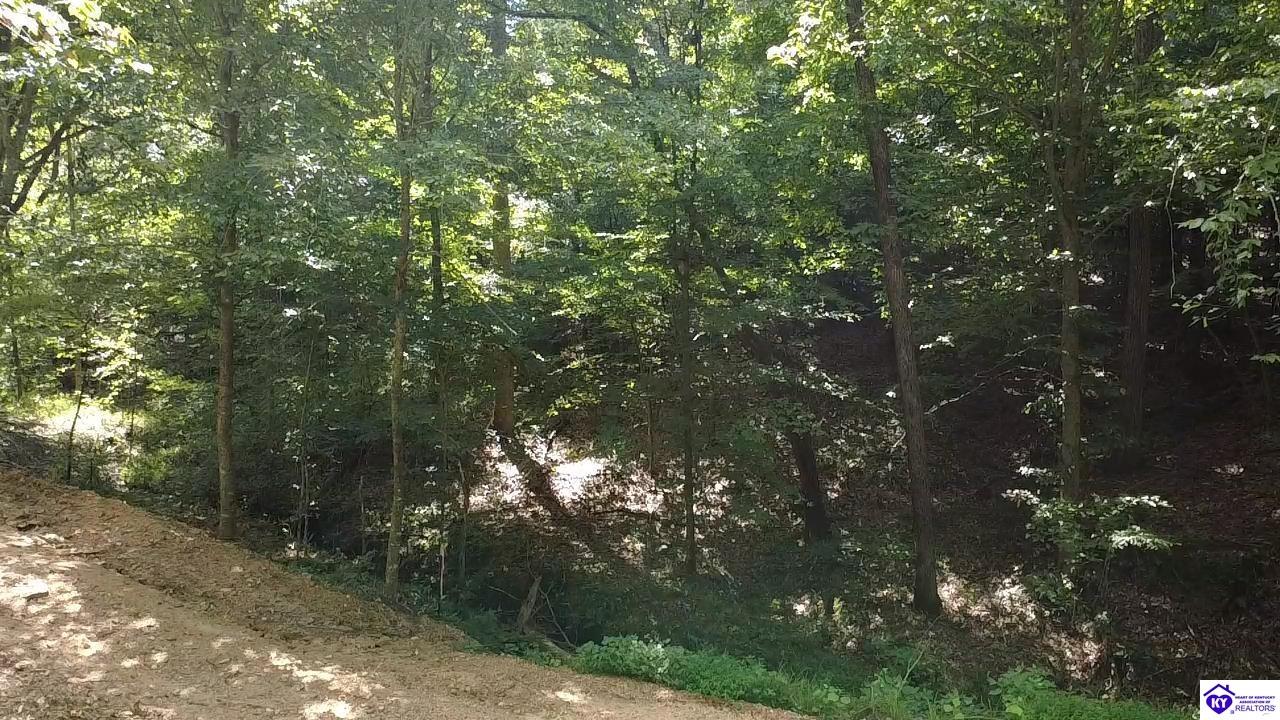 Fuller Harding Road Property Photo 2