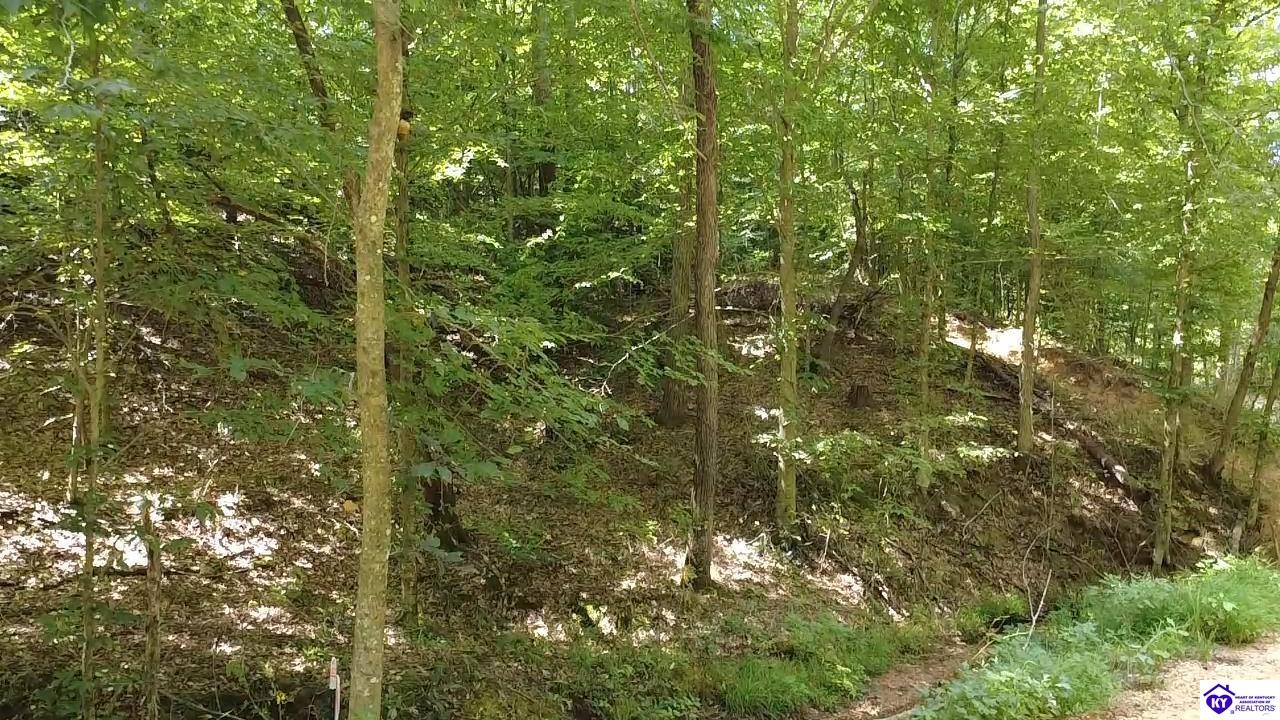 Fuller Harding Road Property Photo 3