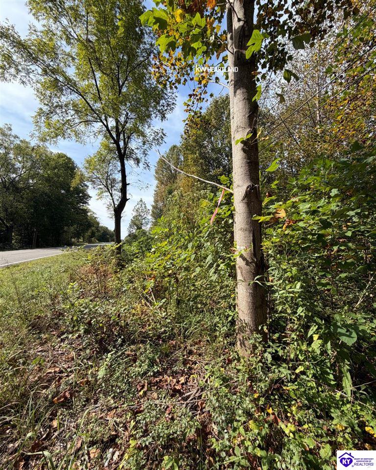 S Dixie Highway Hazelwood Subdivision Lt3 Property Photo 2