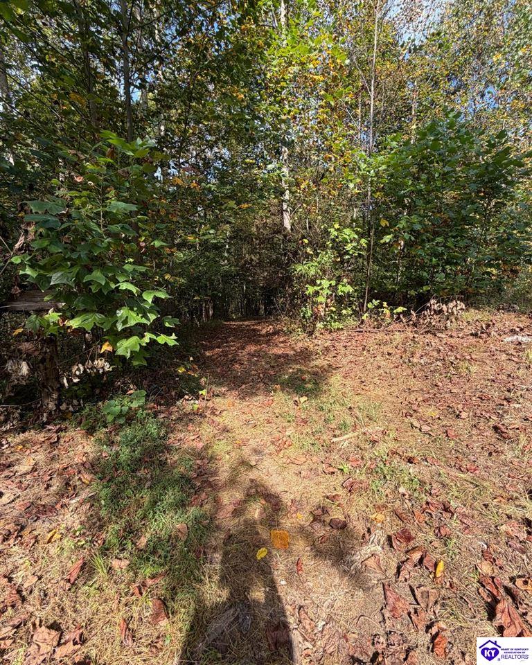 S Dixie Highway Hazelwood Subdivision Lt3 Property Photo 3