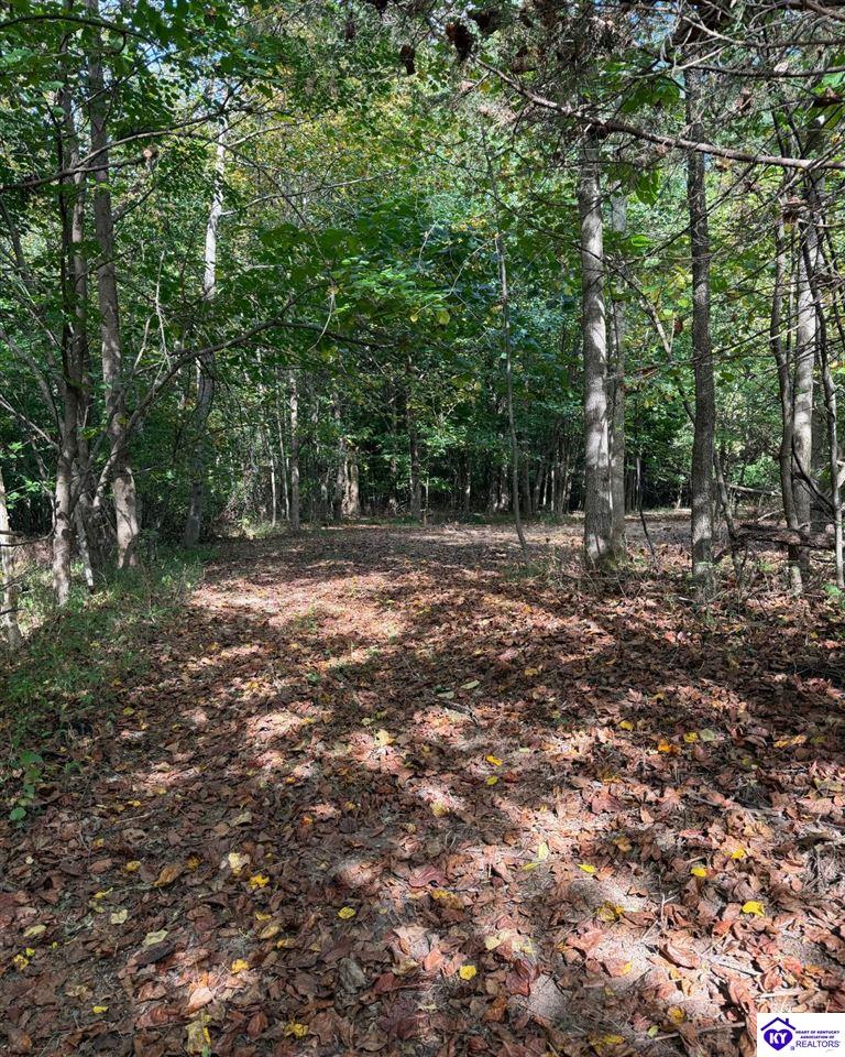 S Dixie Highway Hazelwood Subdivision Lt3 Property Photo 4