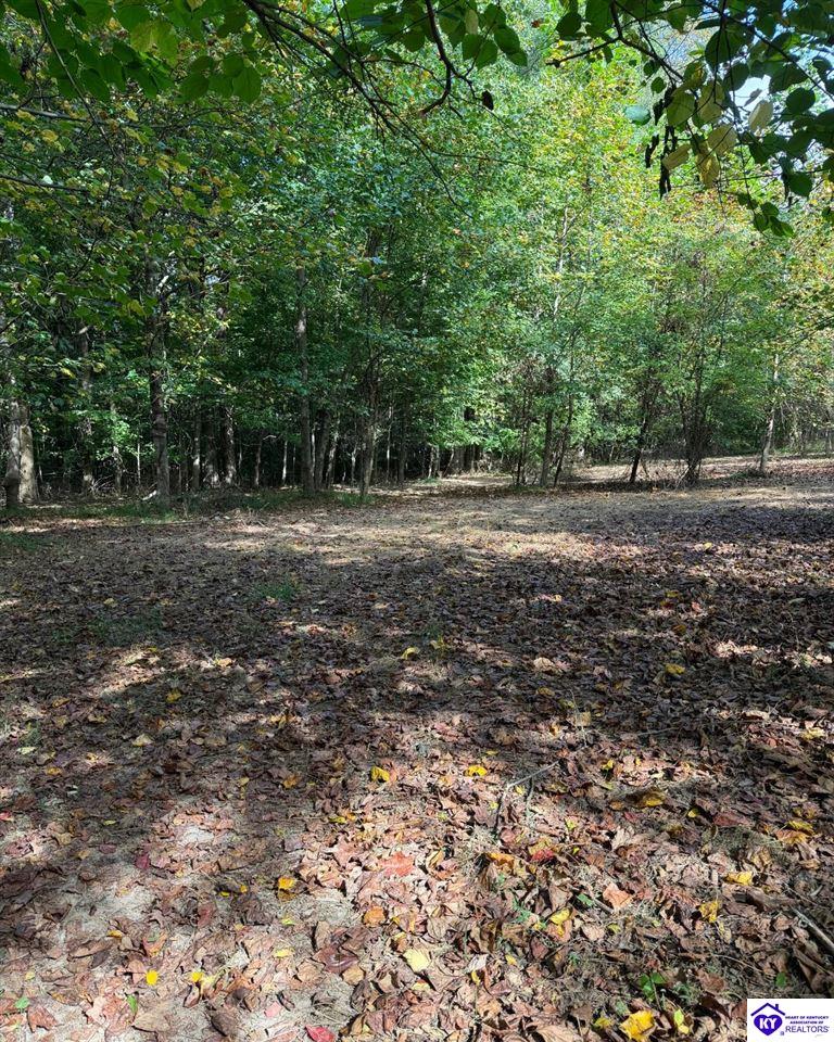S Dixie Highway Hazelwood Subdivision Lt3 Property Photo 6