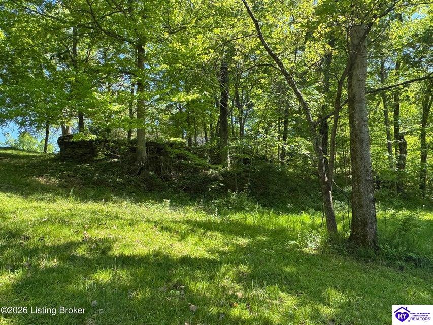 199 Lickskillet Drive Property Photo 59