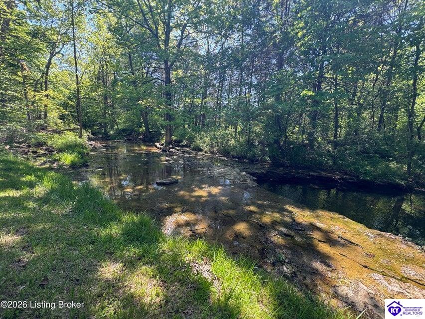199 Lickskillet Drive Property Photo 61
