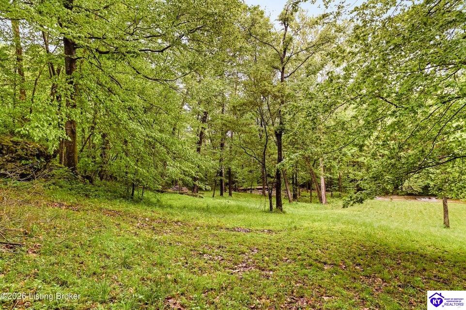 199 Lickskillet Drive Property Photo 64