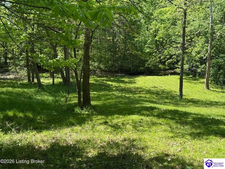 199 Lickskillet Drive Property Photo 84