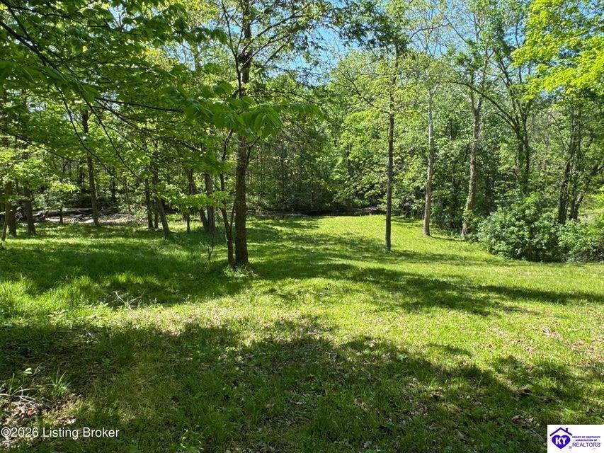 199 Lickskillet Drive Property Photo 85