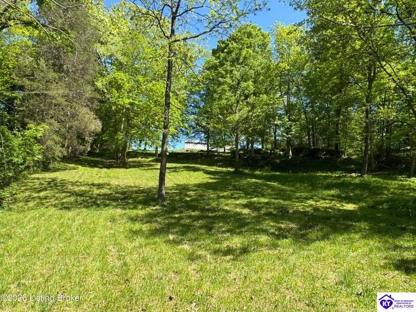 199 Lickskillet Drive Property Photo 86