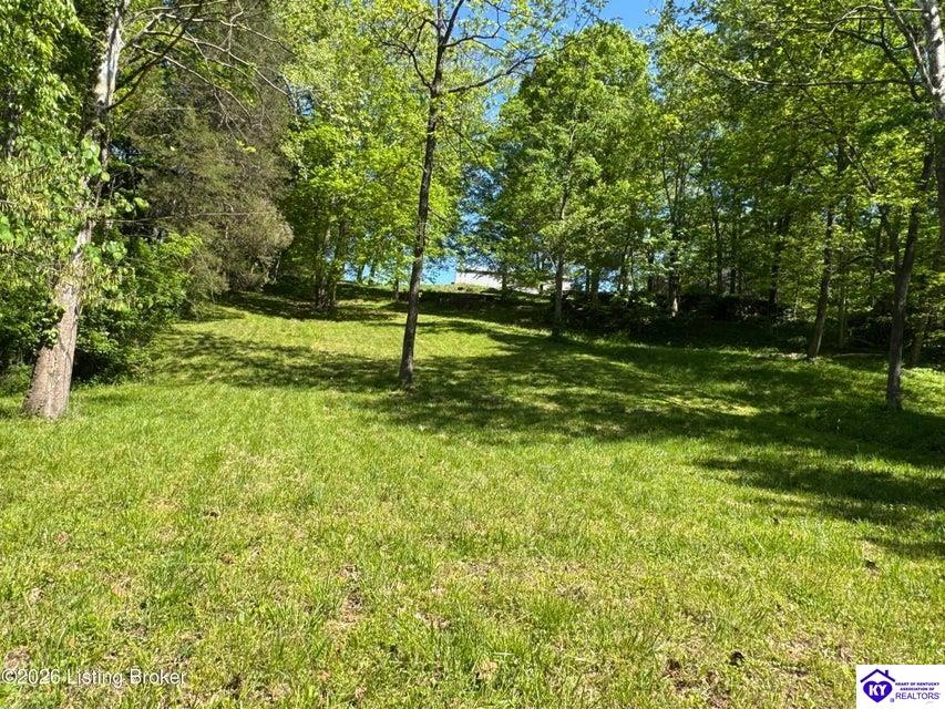 199 Lickskillet Drive Property Photo 87