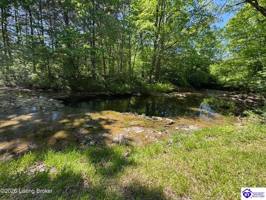 199 Lickskillet Drive Property Photo 88