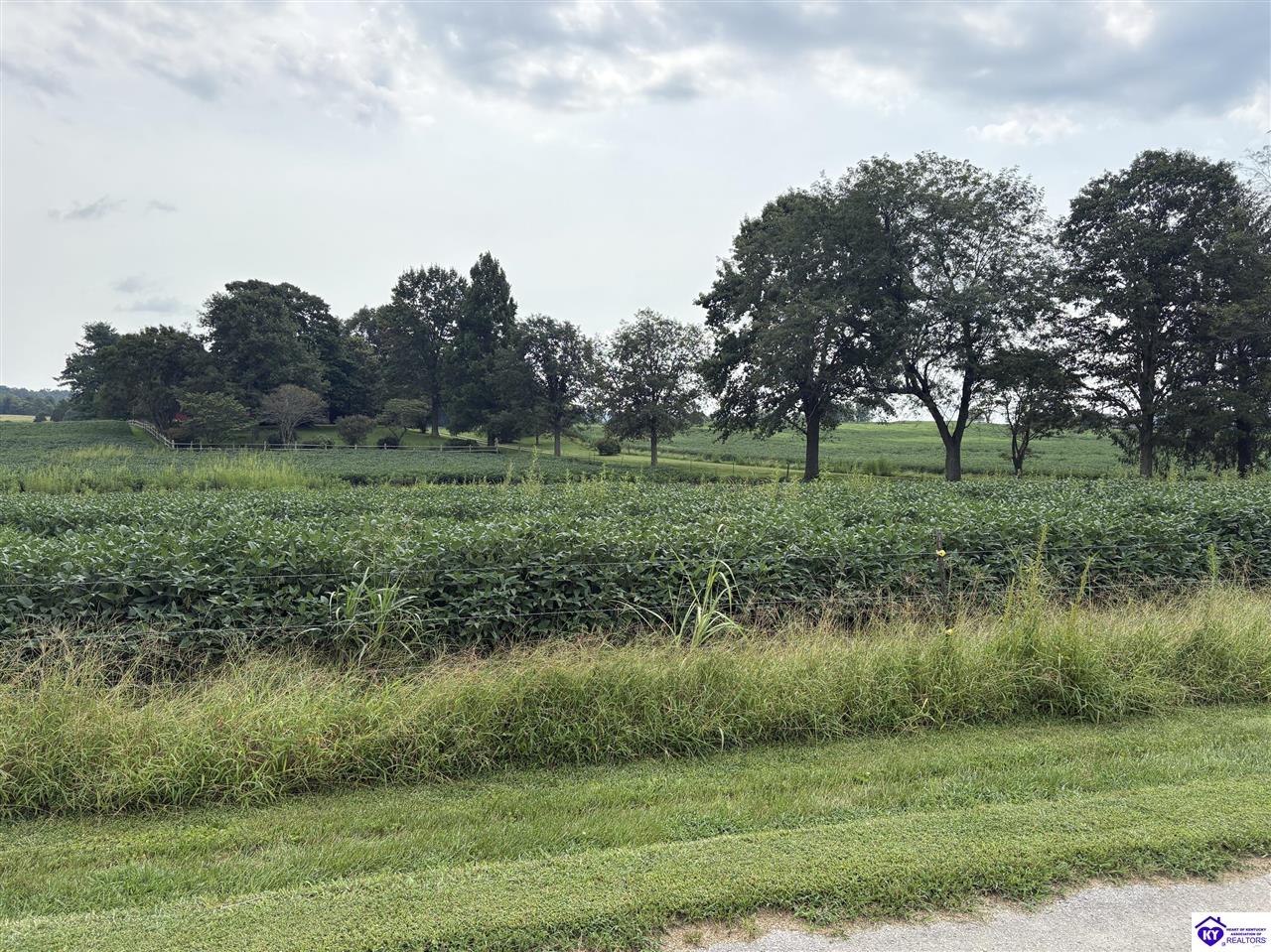 1824 Willetts Bottom Road Property Photo 17