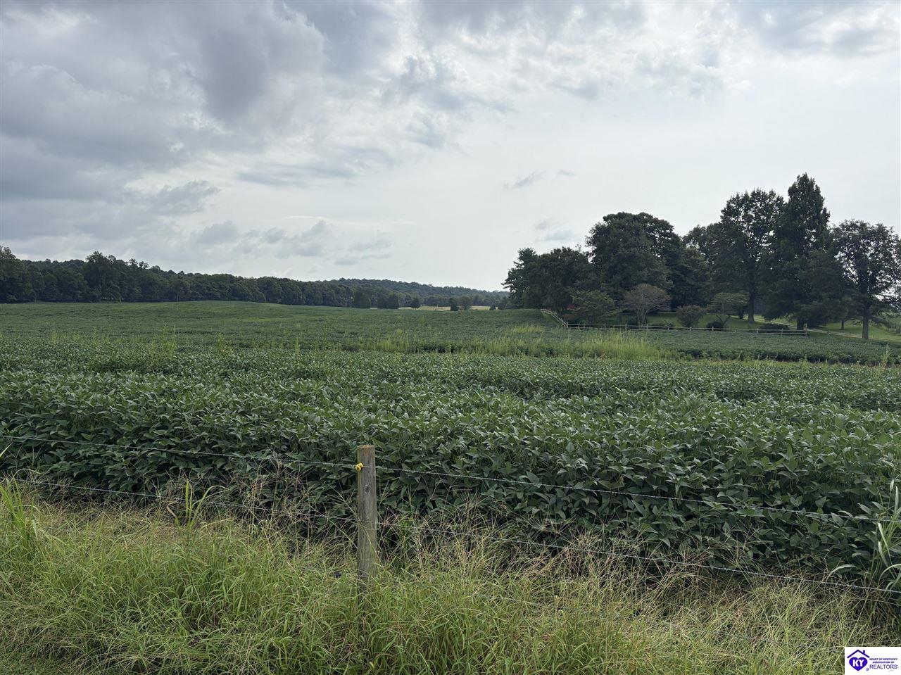 1824 Willetts Bottom Road Property Photo 18