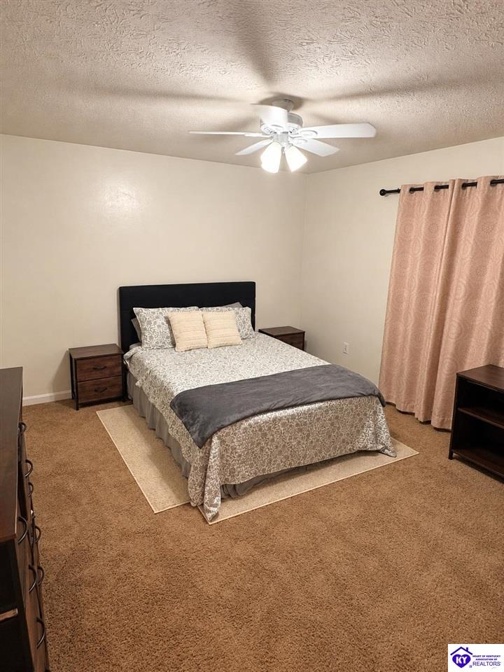215 Blue Ridge Way Property Photo 17