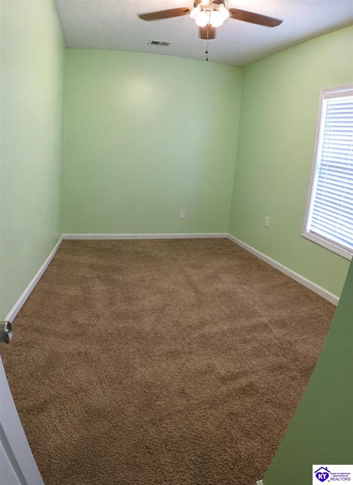 215 Blue Ridge Way Property Photo 19