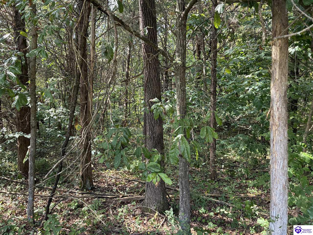 0 S Hwy 333 Property Photo 3