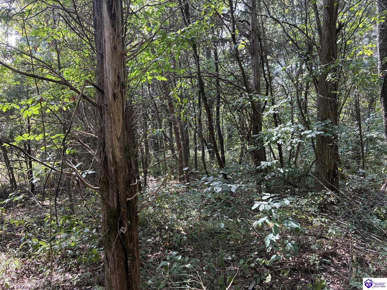 0 S Hwy 333 Property Photo 5
