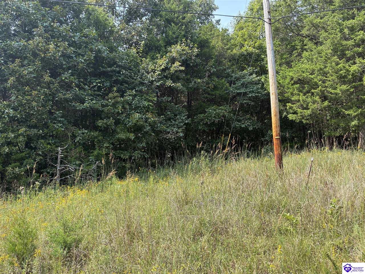 0 S Hwy 333 Property Photo 6