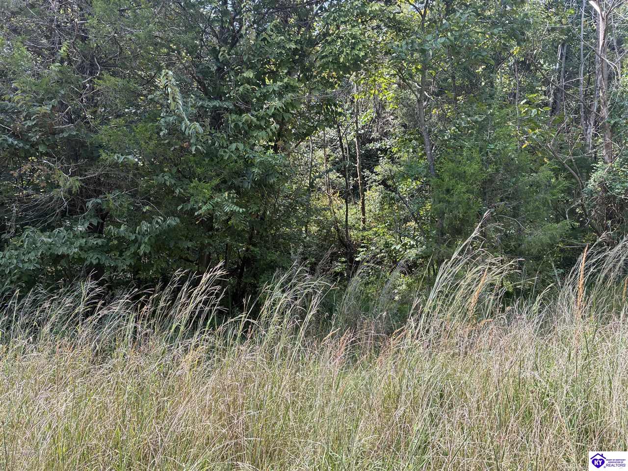 0 S Hwy 333 Property Photo 7