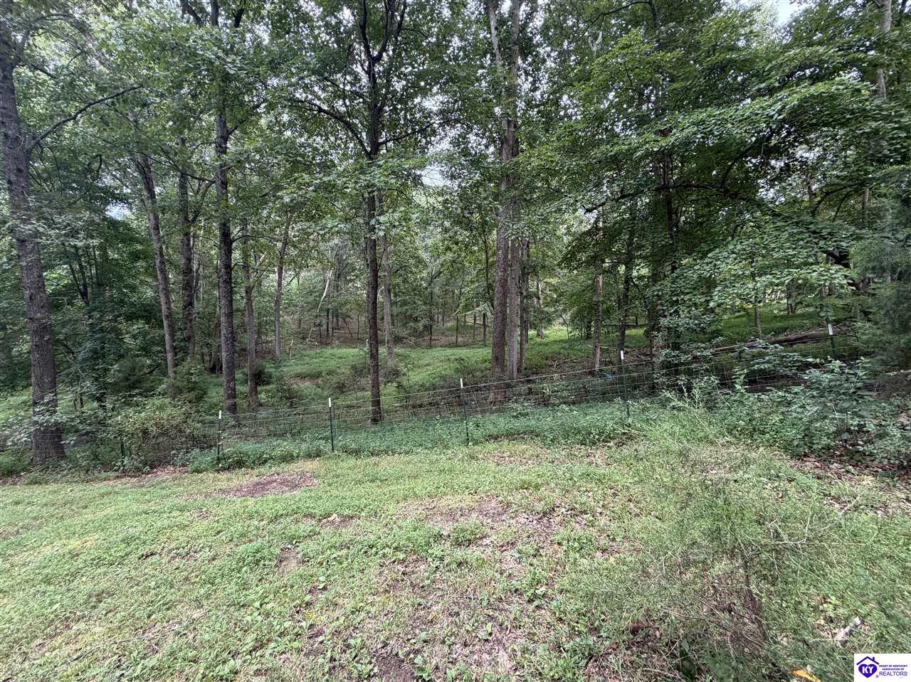 360 Givens Lane Property Photo 22