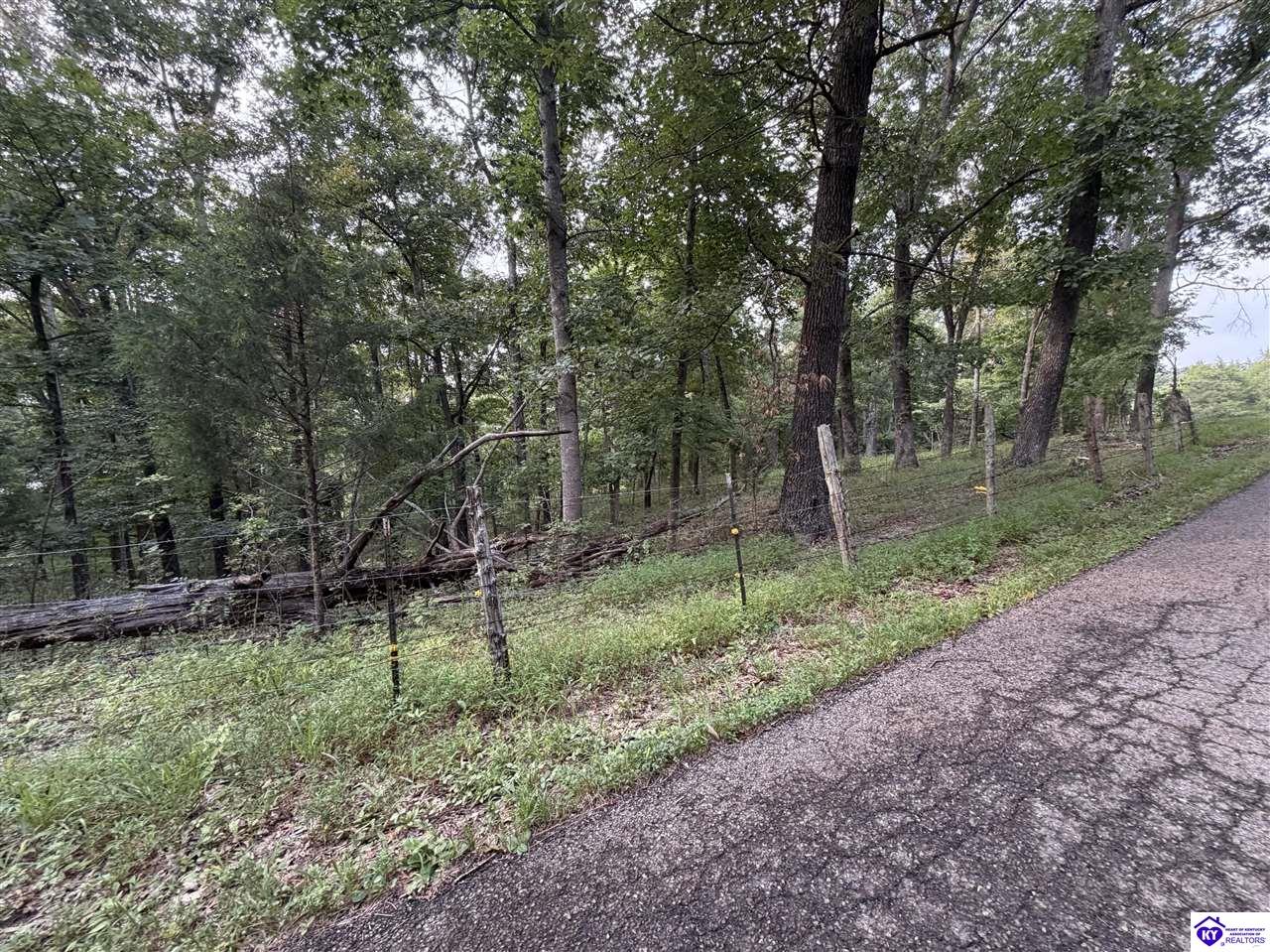 360 Givens Lane Property Photo 32