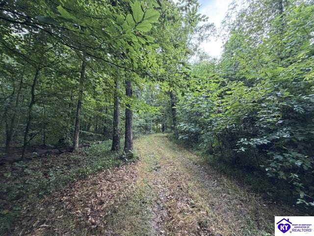 Tract G Sutzer Creek Road Property Photo 1