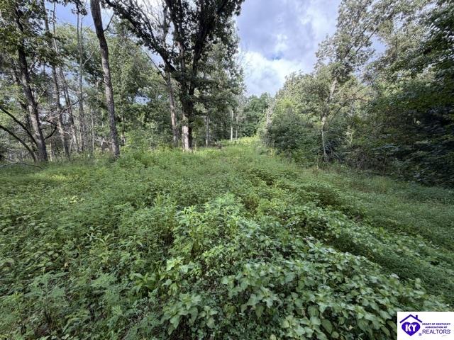 Tract G Sutzer Creek Road Property Photo 2