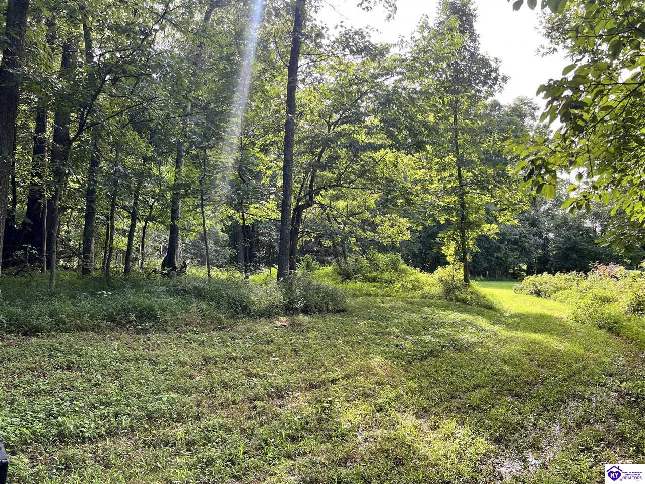 Tract G Sutzer Creek Road Property Photo 3