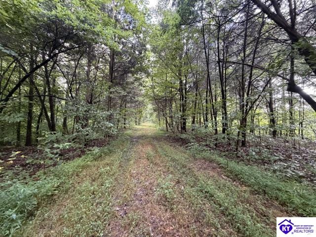 Tract G Sutzer Creek Road Property Photo 4