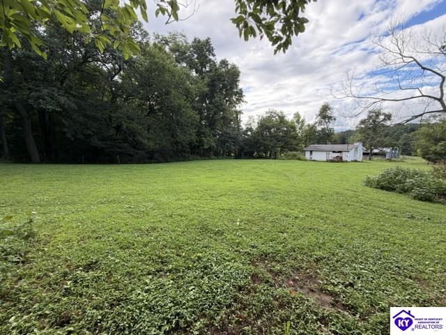 Tract G Sutzer Creek Road Property Photo 15