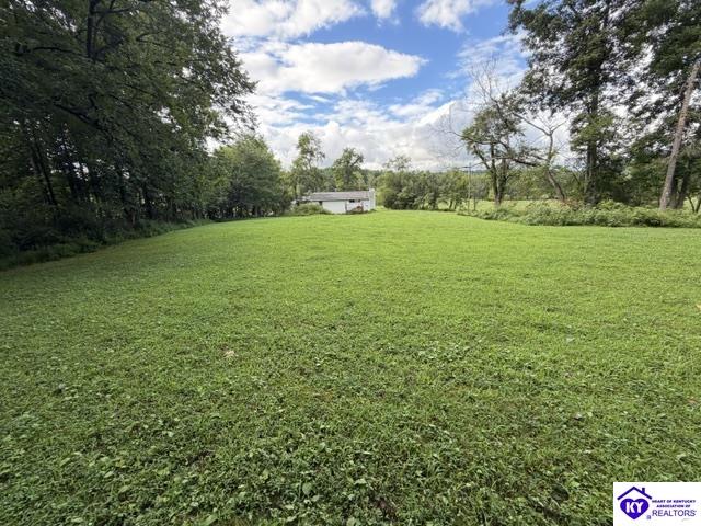 Tract G Sutzer Creek Road Property Photo 16