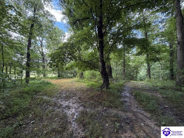 Tract G Sutzer Creek Road Property Photo 17
