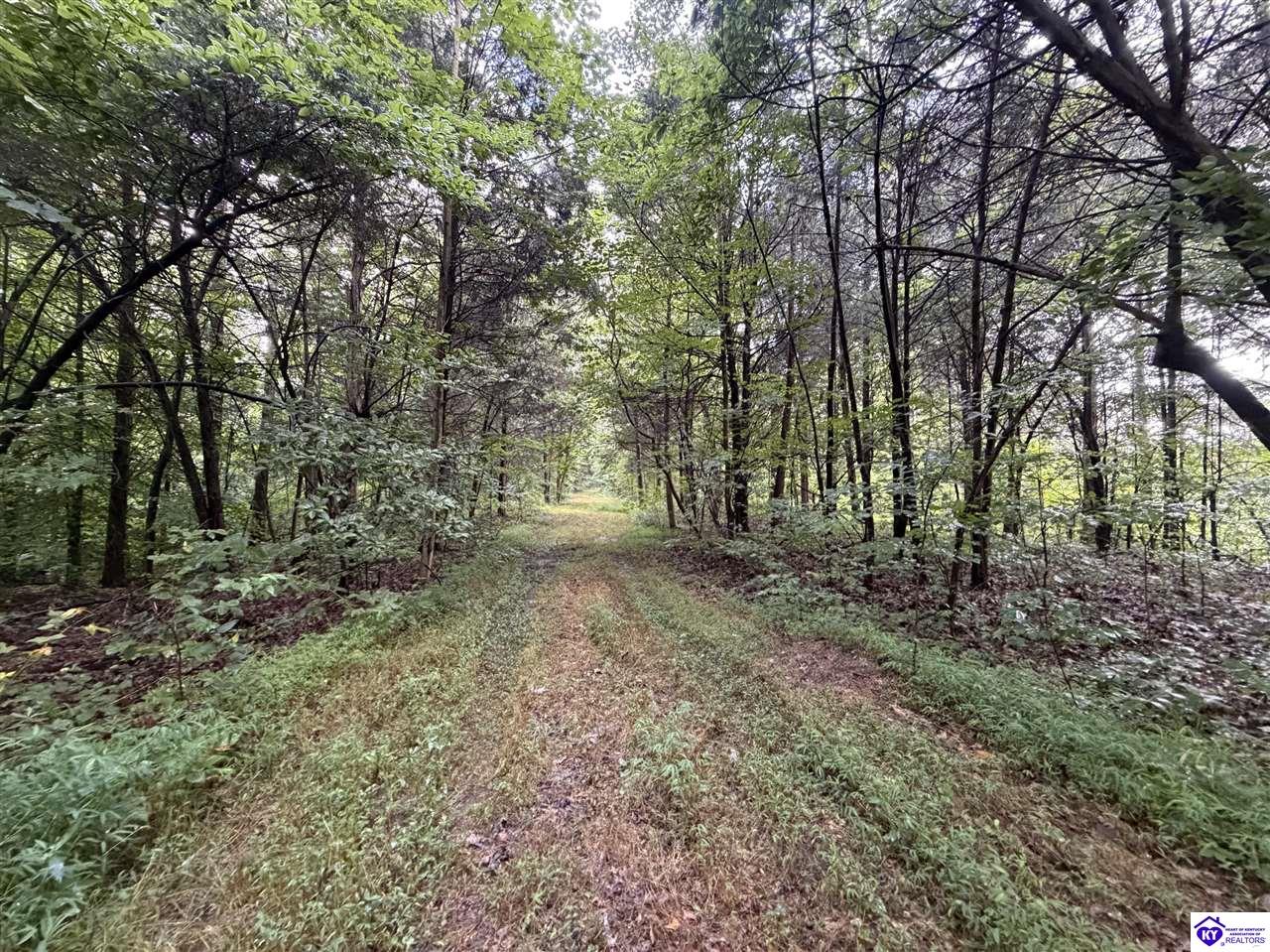 Tract G Sutzer Creek Road Property Photo 18